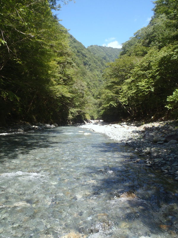 上流に向かって