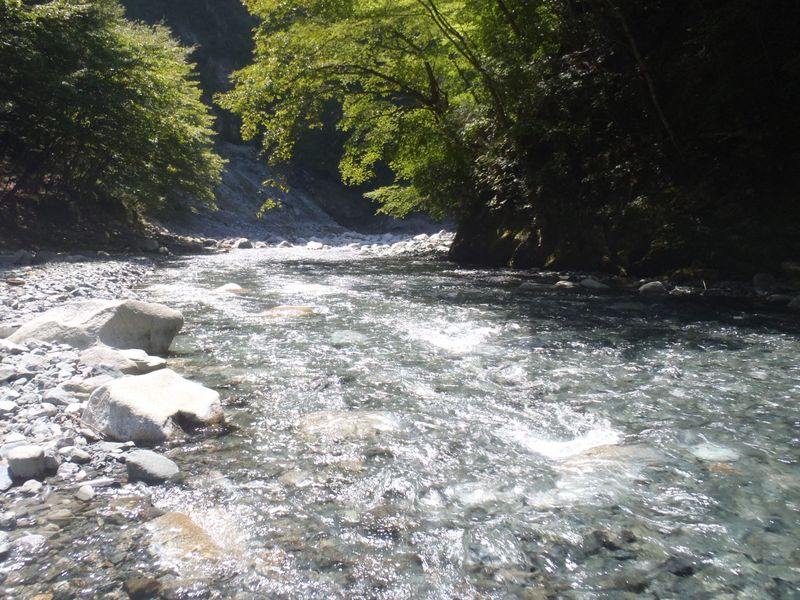 光の反射がキラキラ