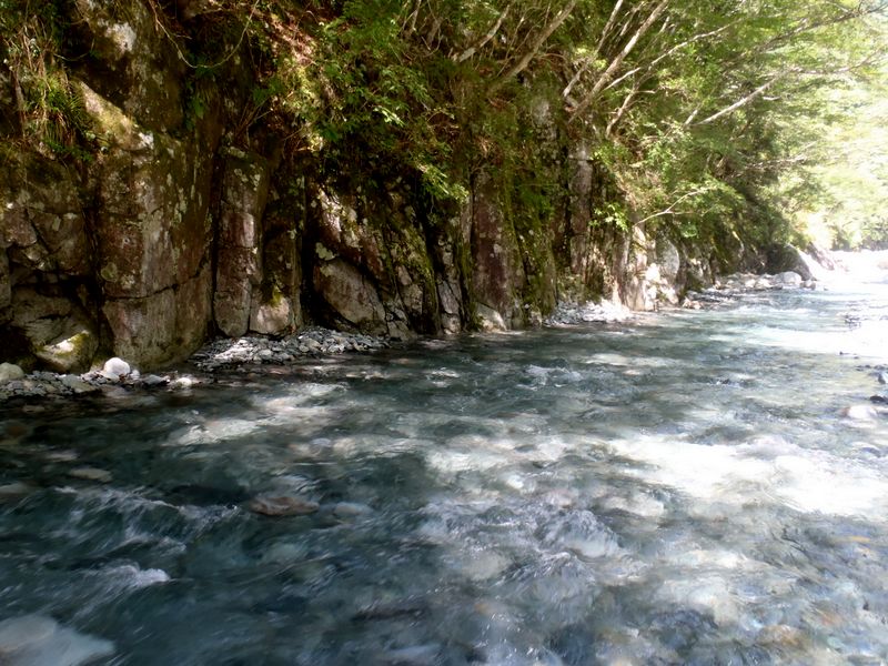 青みを帯びた河床
