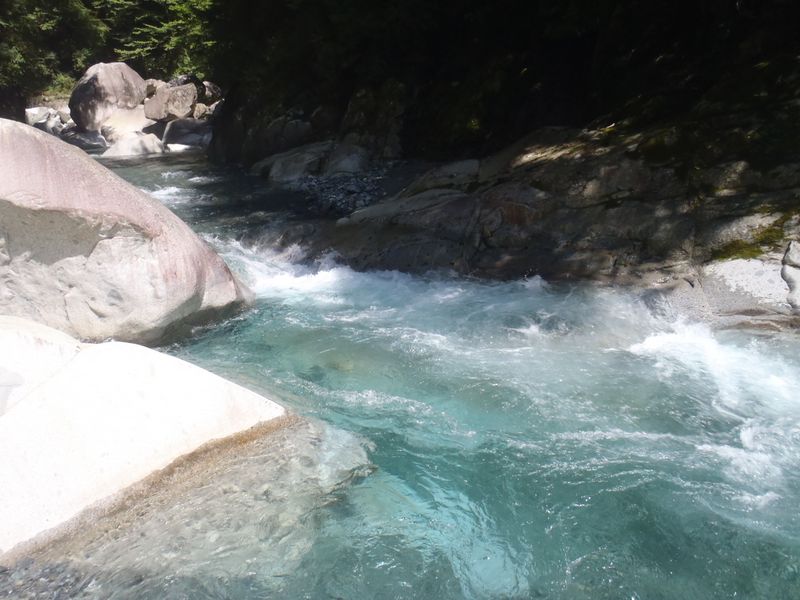 下り専用にしよう