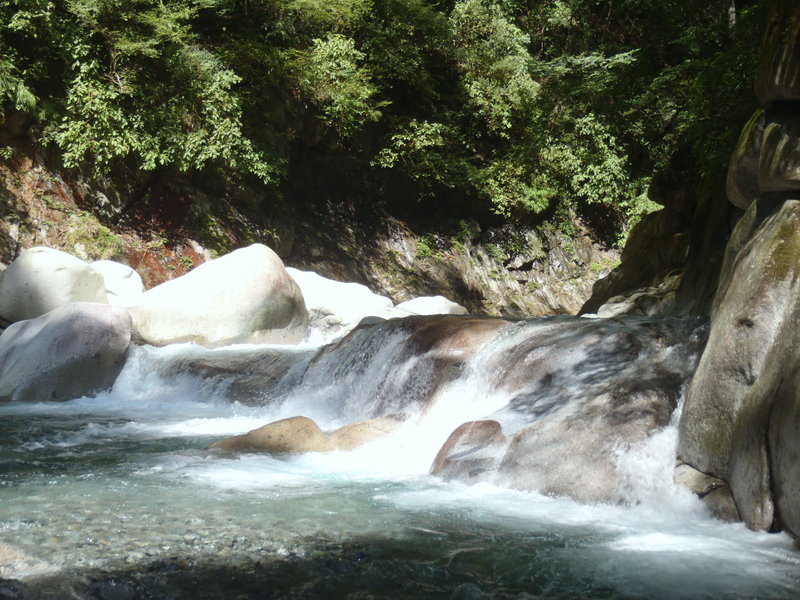 ほぼ川幅いっぱいのナメ