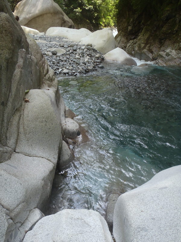 ここから泳ぎ始める