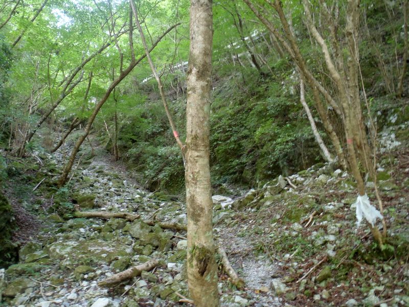 ここから青崩隧道に上がる